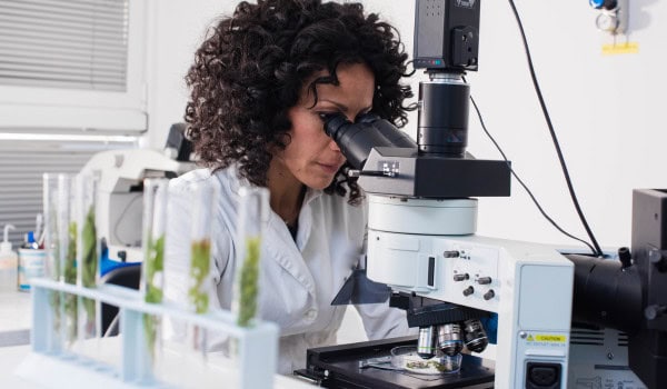 women looking in microscope